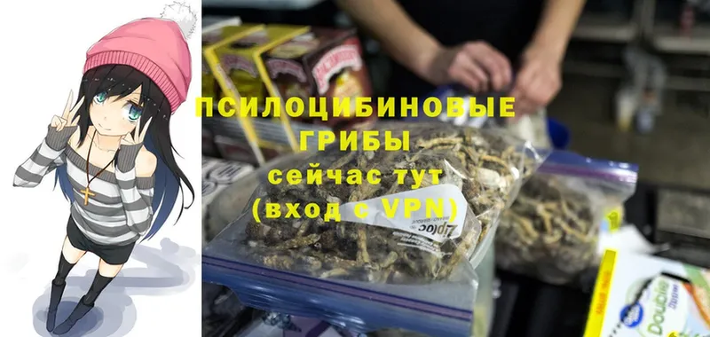 Галлюциногенные грибы GOLDEN TEACHER Владивосток