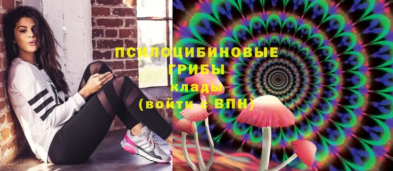 Псилоцибиновые грибы MAGIC MUSHROOMS  Владивосток 